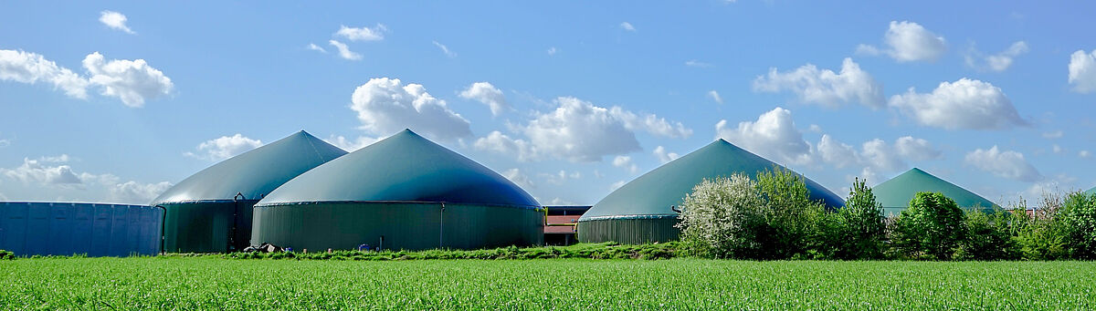 Bioenergy and Biogas
