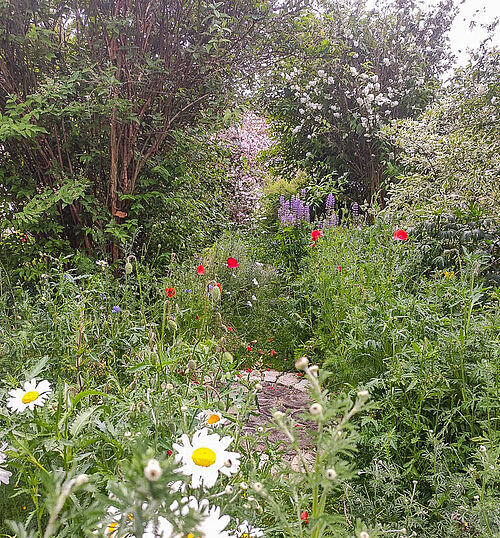 Garten in Ingolstadt, © Katharina Pickl