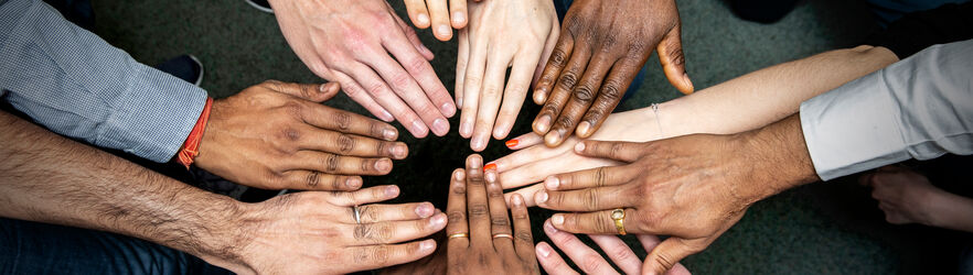 Diversity Fund