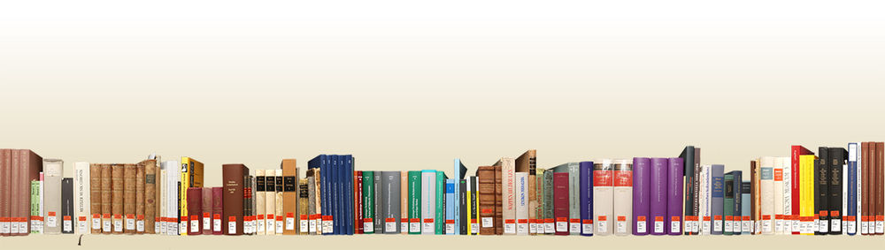 PUBLIZIEREN
