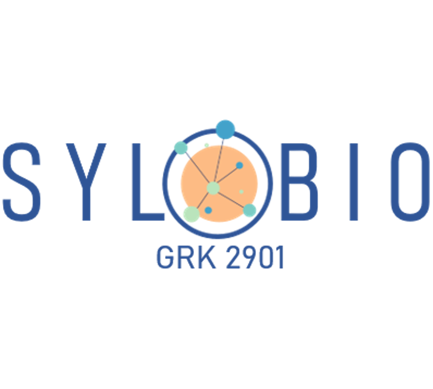 GRK 2901:  Systemic and local reactions in case of incompatibility to biomaterials for joint and skin lesions