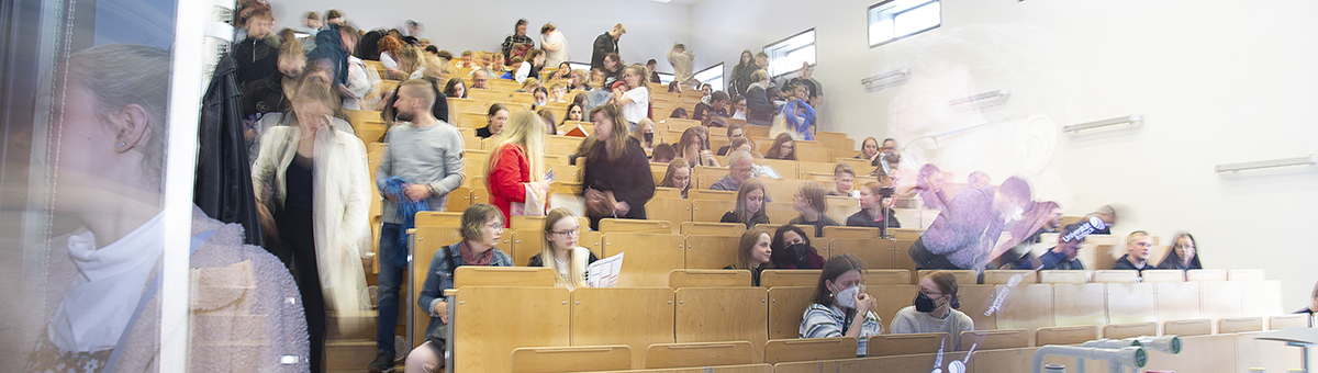 Beratung im Studienverlauf