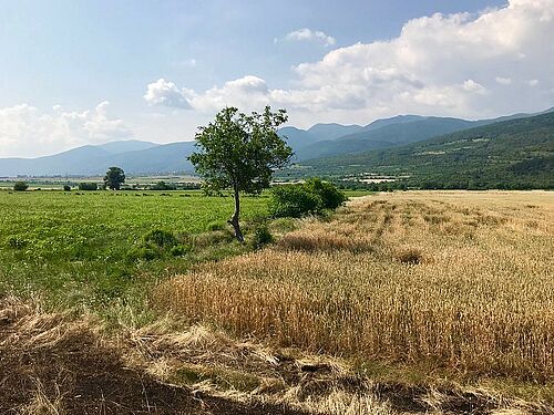 Ackerland in der Region Septemvri, Pazardzhik, Bulgarien. (Bild: Sebastian Lakner/Universität Rostock).