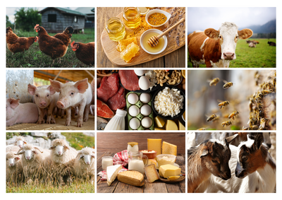 Tierische Produkte bewusster konsumieren