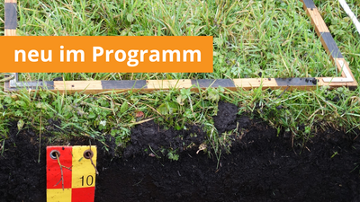 Eigenschaften von Moorböden