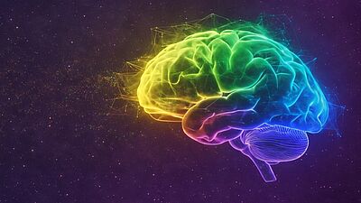 Neurodiversität verstehen und fördern
