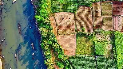 Agrobiodiversity
