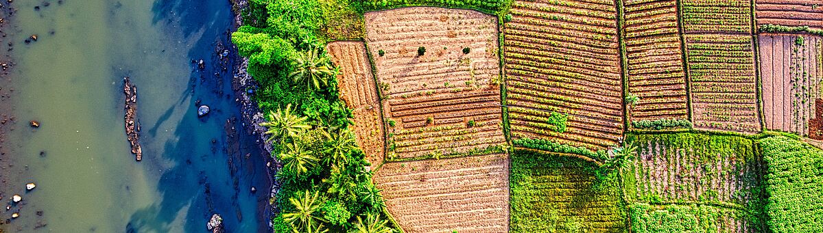 Agrobiodiversity