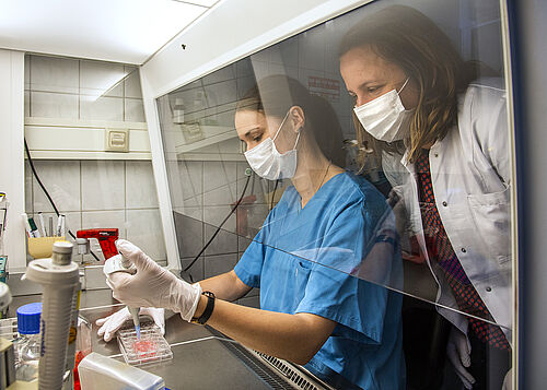 Die Rostocker Biologinnen Lena-Christin Ingwersen (links sitzend) und Dr. Anika Jonitz-Heincke erforschen gemeinsam Strategien zur Funktionalisierung neuartiger Knochenersatzmaterialien. Foto: Universität Rostock/Julia Tetzke