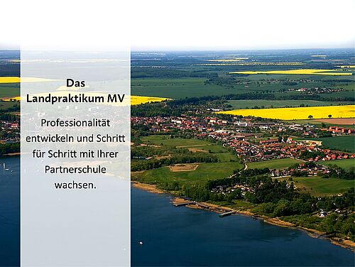 Foto: Marcus Sümnick.
