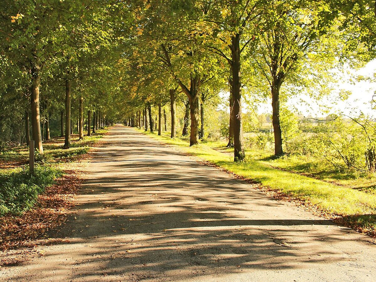 Studienabbruch und Neuorientierung