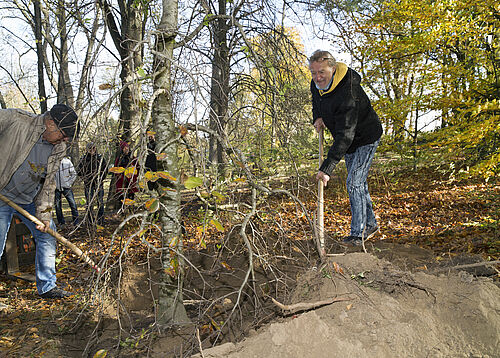 Uwe Brand (r.) und ein Zoo-Mitarbeiter beim Pflanzen der von ihm gestifteten Süntel-Buche.