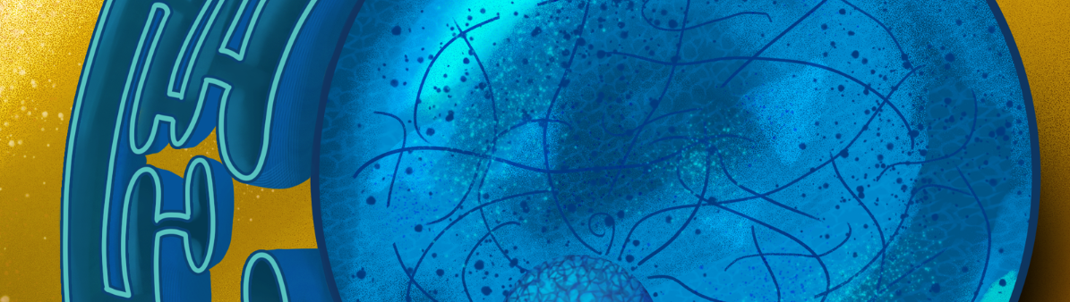 Modellieren und Cytologie