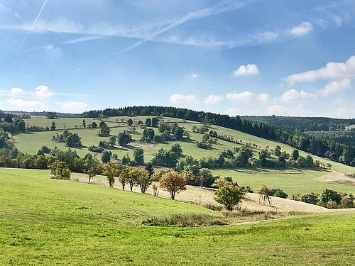 Artenreiches Grünland im Erzgebirge bei Fürstenau, Deutschland. (Bild: Sebastian Lakner/Universität Rostock).