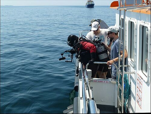 Forschungstaucher beim Einstieg ins Wasser