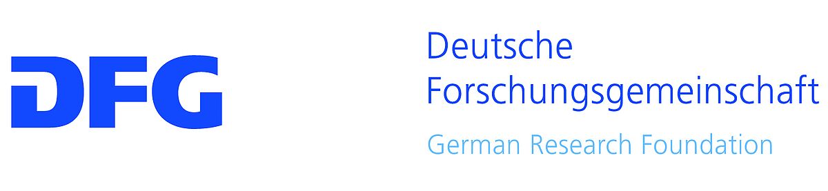 DFG AT THE UNIVERSITY