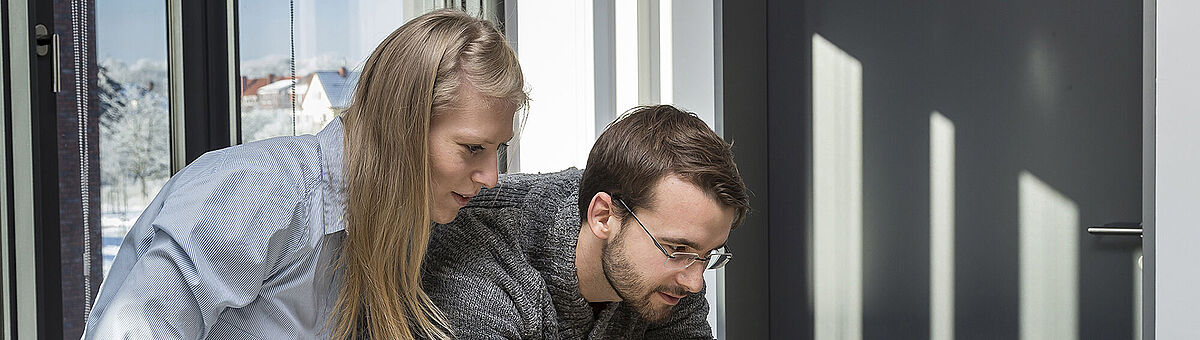 Research Training Groups at the University of Rostock