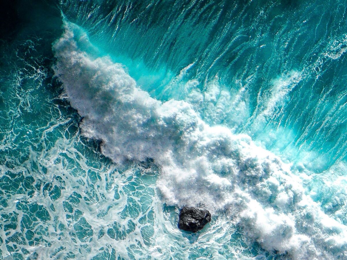 TENURE-TRACK-PROGRAMM