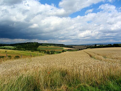 Landscape near Ebergötzen next to Göttingen, Germany. Taken in 2015 (Picture: Sebastian Lakner/University of Rostock).