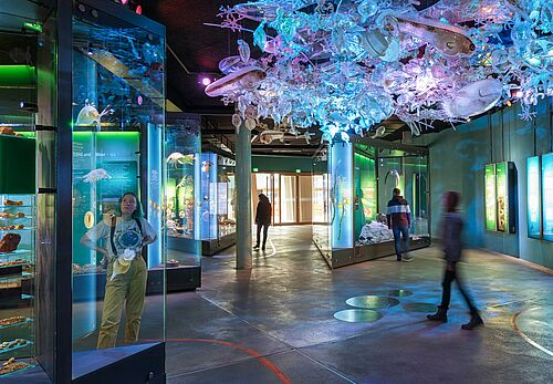 In der Ostsee-Ausstellung des OZEANEUMs Stralsund schwebt die 200-fache Vergrößerung einer „Planktonwolke“ über den Gästen (Foto: Anke Neumeister/Deutsches Meeresmuseum).