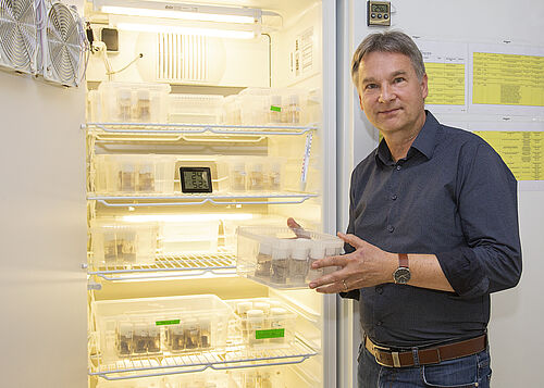 Professor Fritz-Olaf Lehmann leitet den Lehrstuhl für Tierphysiologie an der Universität Rostock. (Foto: Universität Rostock/Julia Tetzke).