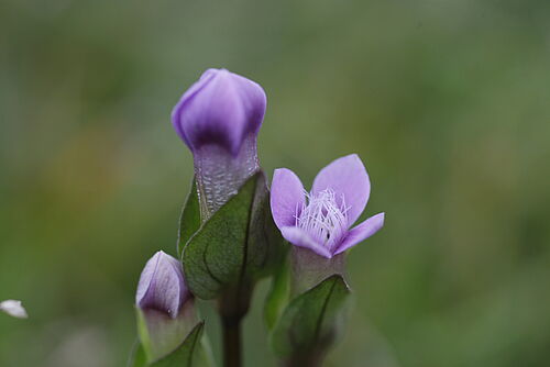 Foto und (c): Björn Russow