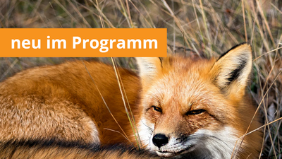 Lebendige Biodiversitätswand
