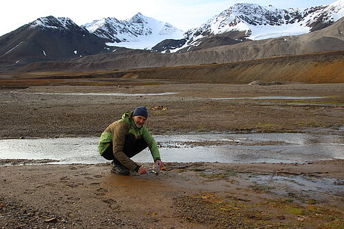 Professor Ulf Karsten bei der Probennahme von Kieselalgen-Biofilmen auf Sedimenten der Küste im Kongsfjorden nahe der arktischen Forschungsstation Ny-Ålesund, Spitzbergen. (Foto: Dr. Ekaterina Pushkareva)