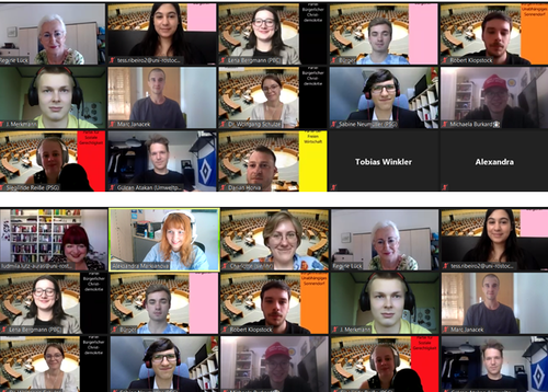 Teilnehmende des Planspiels. (Screenshot).