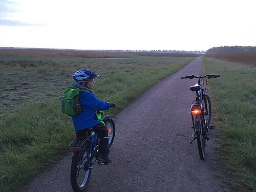 Beim Birdrace muss man früh aufstehen. Morgens um 5 Uhr haben Professor Mirko Basen und sein Sohn Luuk bereits zwei Stunden Beobachtungen hinter sich und Waldohreule und Waldkauz auf der Liste. Jetzt geht es mit dem Fahrrad ins Hüttelmoor und in die Rostocker Heide – hier wird gerade dem Ruf der seltenen Rohrdommel gelauscht. (Foto: privat).