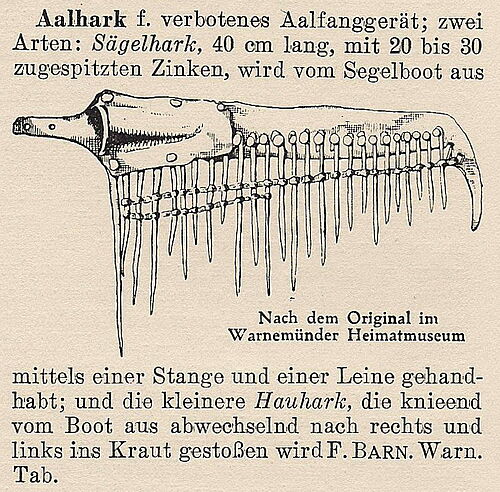 Stichwort „Aalhark“ im ersten Band des Mecklenburgischen Wörterbuchs (Copyright: Universität Rostock).