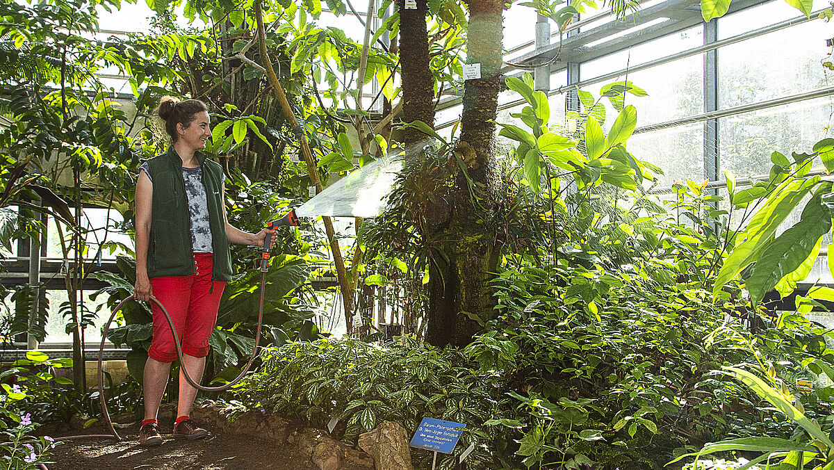 Nichtwissenschaftliches Personal