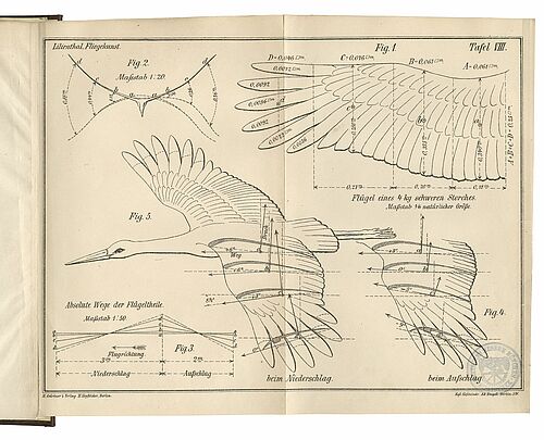 For the construction of his flying machine, Otto Lilienthal thoroughly studied the flight of storks, as can be seen in this pictorial plate from his 1899 book "The Flight of Birds as the Basis of the Art of Flying." (Image: Public Domain).