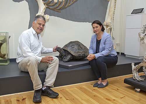  Bildtext: Professor Stefan Richter und Zoodirektorin Antje Angeli freuen sich, dass die Galapagos-Riesenschildkröte Elvida nach ihrem Tod und Präparation einen festen Platz in der Zoologischen Sammlung der Universität Rostock gefunden hat. (Foto: Universität Rostock/ Julia Tetzke)