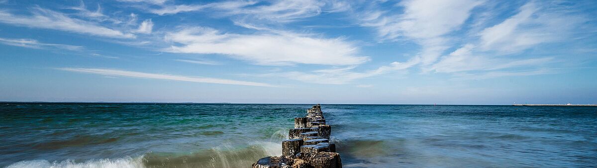 JUNIORPROFESSUR AN DER UNIVERSITÄT ROSTOCK