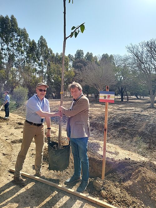 Prof. Dr. Stefan Beyerle (r.) und Prof. Dr. Martin Rösel auf der Delegationsreise bei der Baumpflanzung in Israel. (© Brüning/Dozorceva, 2025).