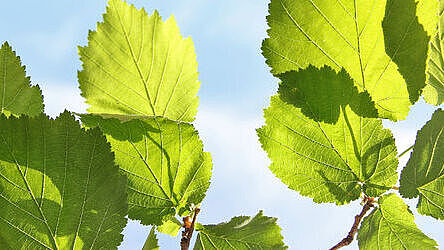 Nichts passendes dabei?