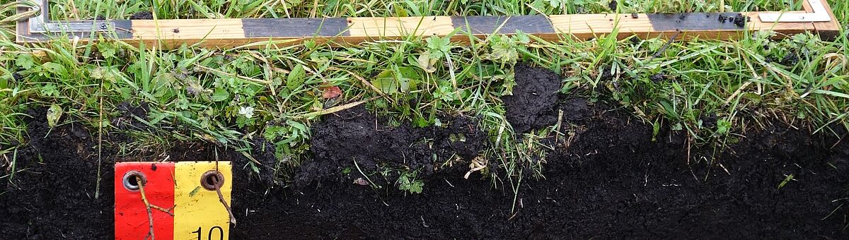 Eigenschaften von Moorböden